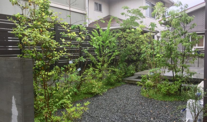 雑木の庭で夏を涼しく過ごすグリーンメンテナンス 玉野市k様 岡山で建材 エクステリアの事なら三井商会へ