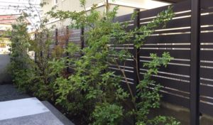 植栽した植木と目隠しフェンスでリラックスできる雑木のお庭